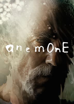 Ανεμώνη