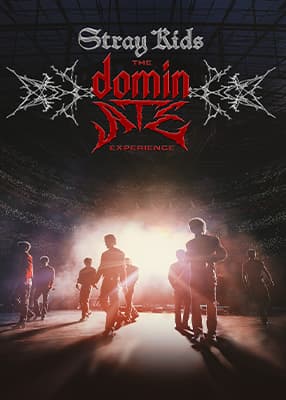 Stray Kids: The Dominate Experience