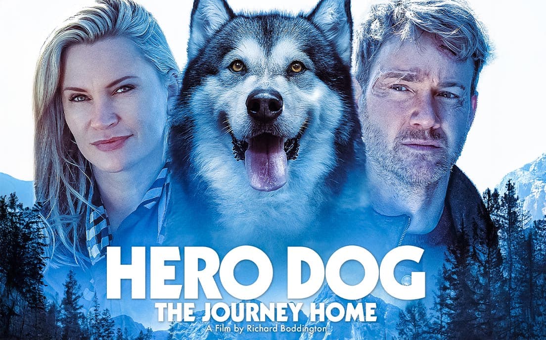 Hero Dog: The Journey Home